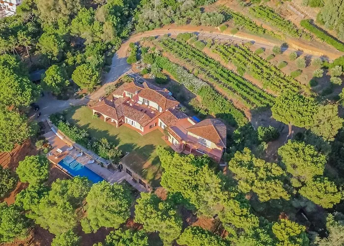 Punta Morcone 빌라 Casa Morcone